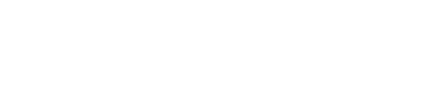 Logo White